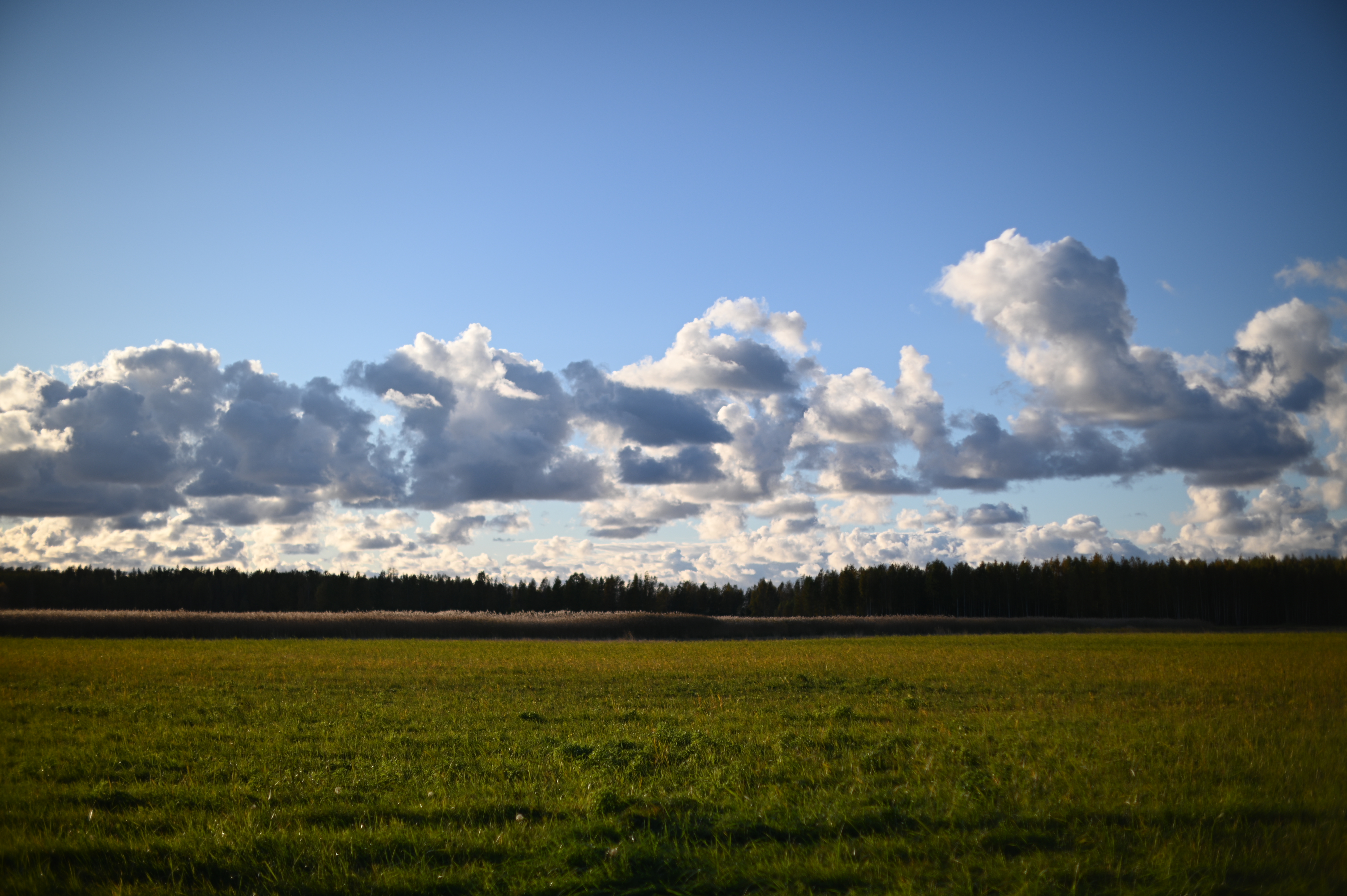 2025/10/18 - walk/DSC_0172.JPG